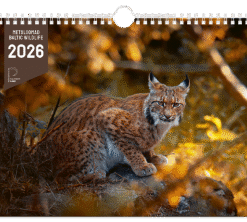 METSLOOMAD 2026, ART landscape