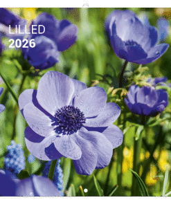 LILLEKALENDER 2026, ruut, klamberköide
