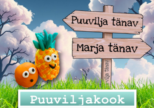 Puuviljakook