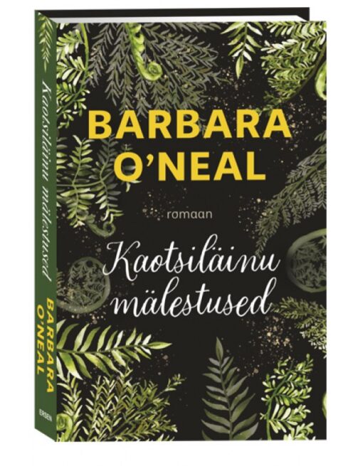 Kaotsiläinu mälestused