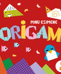 Minu esimene origami 2