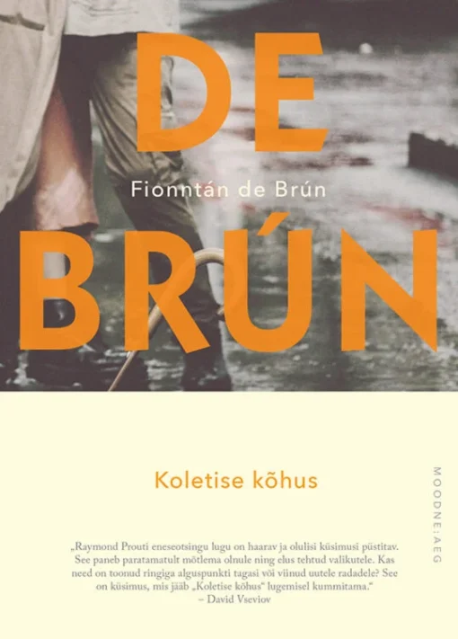 Koletise kõhus