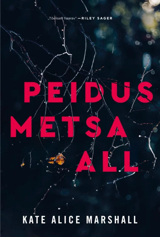Peidus metsa all