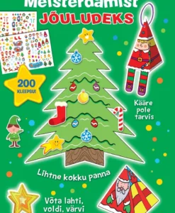 Meisterdamist jõuludeks