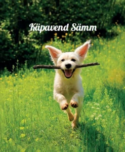 Käpavend Sämm