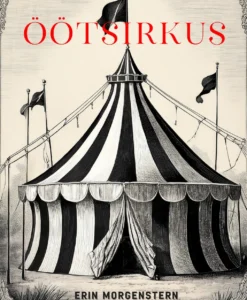 Öötsirkus
