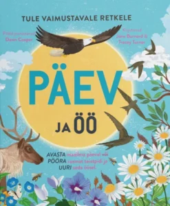 Päev ja öö