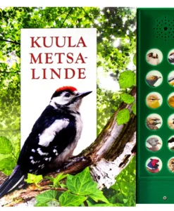 Kuula metsalinde