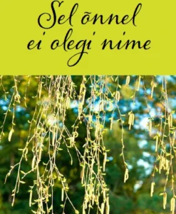 Sel õnnel ei olegi nime