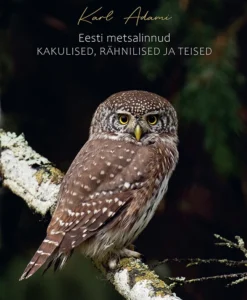 Eesti metsalinnud. Kakulised, rähnilised ja teised