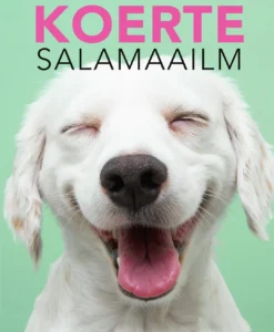 Koerte salamaailm. Kuidas mõista oma koera