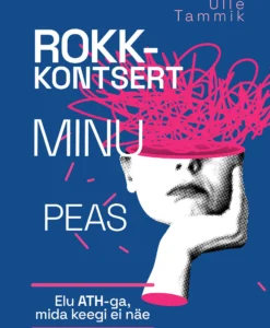 Rokkkontsert minu peas