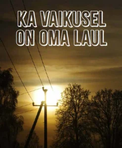 Ka vaikusel on oma laul