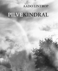 Pilvekindral. Luulet aastatest 2022–2025