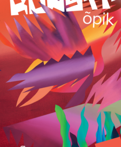 Kunstiõpik 1. raamat