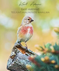 Eesti aialinnud