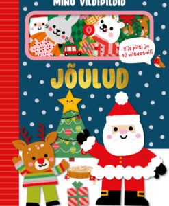 Jõulud. Minu vildipildid