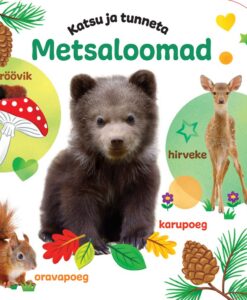 Katsu ja tunneta. Metsaloomad