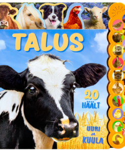 Talus