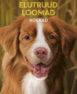 Elutruud loomad. Koerad